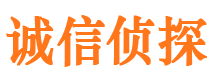 神池外遇调查取证